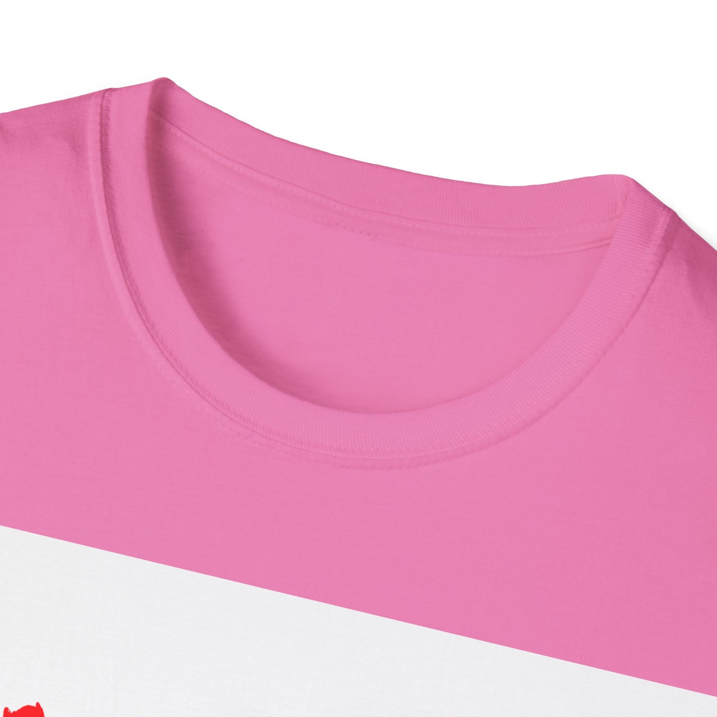Home Sweet Home Unisex Softstyle T-Shirt
